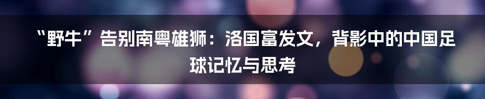 “野牛”告别南粤雄狮:洛国富发文,背影中的中国足球记忆与思考