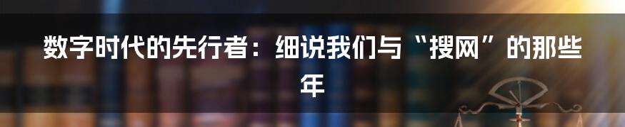 数字时代的先行者:细说我们与“搜网”的那些年