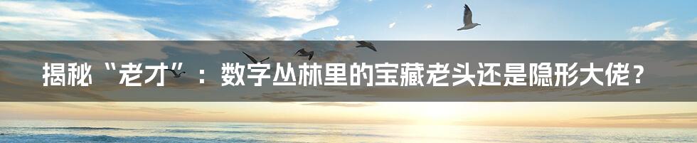 揭秘“老才”:数字丛林里的宝藏老头还是隐形大佬?