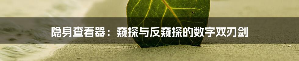 隐身查看器：窥探与反窥探的数字双刃剑