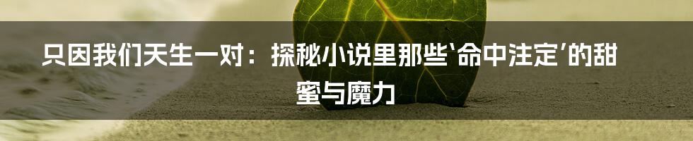 只因我们天生一对:探秘小说里那些‘命中注定’的甜蜜与魔力