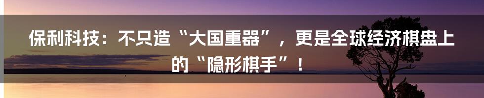 保利科技:不只造“大国重器”,更是全球经济棋盘上的“隐形棋手”!