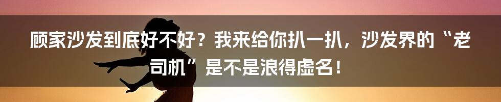 顾家沙发到底好不好?我来给你扒一扒,沙发界的“老司机”是不是浪得虚名!