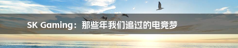 SK Gaming:那些年我们追过的电竞梦