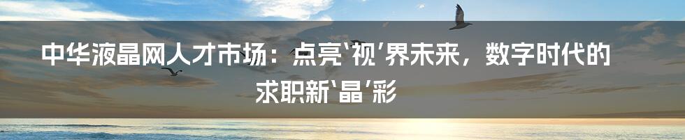 中华液晶网人才市场:点亮‘视’界未来,数字时代的求职新‘晶’彩