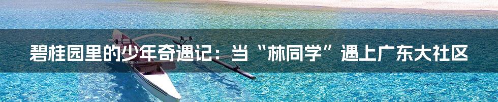 碧桂园里的少年奇遇记：当“林同学”遇上广东大社区
