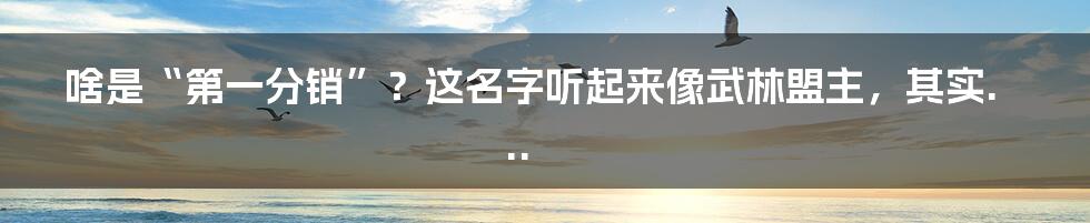 啥是“第一分销”?这名字听起来像武林盟主,其实...