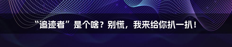 “追迹者”是个啥?别慌,我来给你扒一扒!