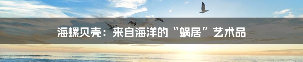 海螺贝壳:来自海洋的“蜗居”艺术品