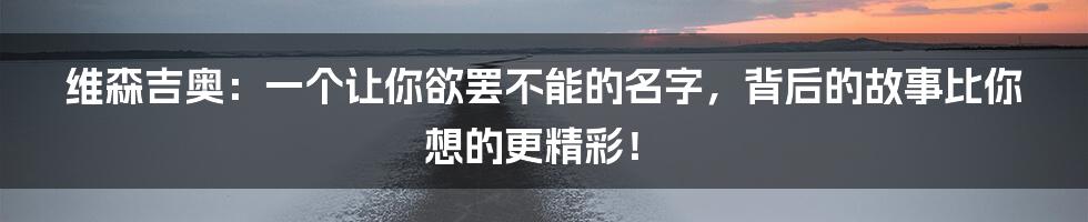 维森吉奥:一个让你欲罢不能的名字,背后的故事比你想的更精彩!
