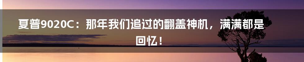 夏普9020C:那年我们追过的翻盖神机,满满都是回忆!