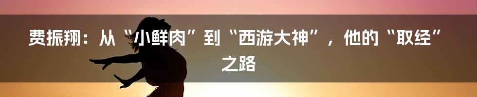 费振翔：从“小鲜肉”到“西游大神”，他的“取经”之路