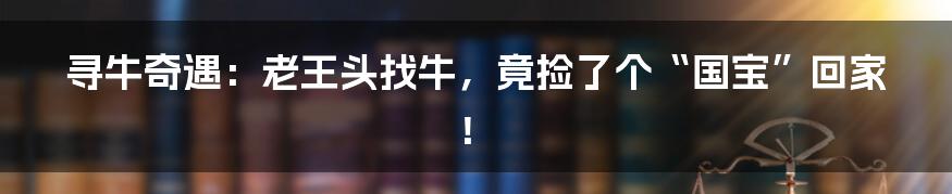 寻牛奇遇：老王头找牛，竟捡了个“国宝”回家！