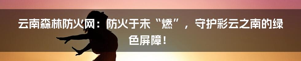 云南森林防火网:防火于未“燃”,守护彩云之南的绿色屏障!