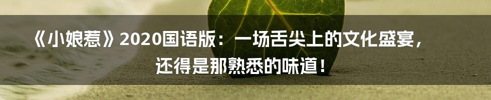 《小娘惹》2020国语版：一场舌尖上的文化盛宴，还得是那熟悉的味道！