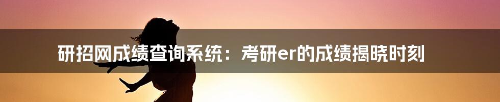 研招网成绩查询系统：考研er的成绩揭晓时刻