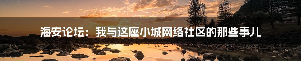 海安论坛：我与这座小城网络社区的那些事儿
