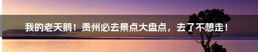 我的老天鹅!贵州必去景点大盘点,去了不想走!