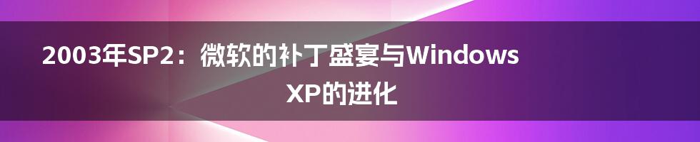 2003年SP2:微软的补丁盛宴与Windows XP的进化