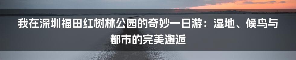 我在深圳福田红树林公园的奇妙一日游:湿地、候鸟与都市的完美邂逅