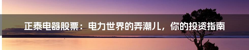 正泰电器股票:电力世界的弄潮儿,你的投资指南