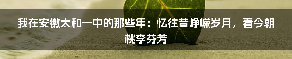 我在安徽太和一中的那些年:忆往昔峥嵘岁月,看今朝桃李芬芳