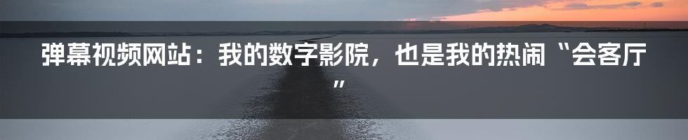 弹幕视频网站：我的数字影院，也是我的热闹“会客厅”