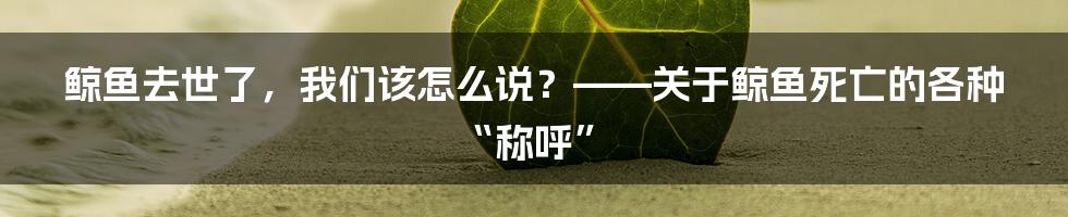鲸鱼去世了,我们该怎么说?——关于鲸鱼死亡的各种“称呼”