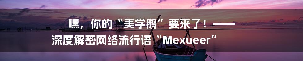 嘿,你的“美学鹅”要来了!—— 深度解密网络流行语“Mexueer”