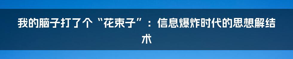 我的脑子打了个“花束子”：信息爆炸时代的思想解结术