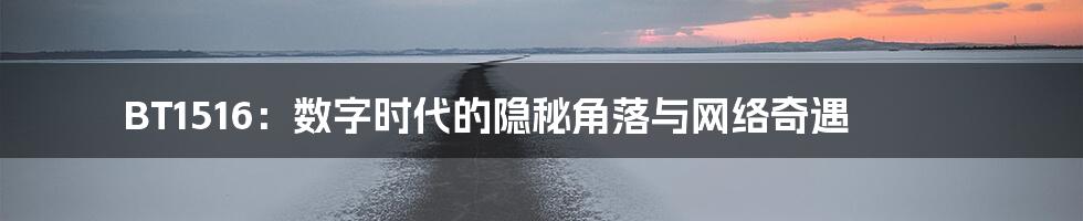 BT1516:数字时代的隐秘角落与网络奇遇