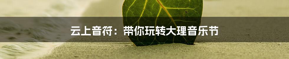 云上音符:带你玩转大理音乐节