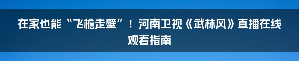 在家也能“飞檐走壁”!河南卫视《武林风》直播在线观看指南