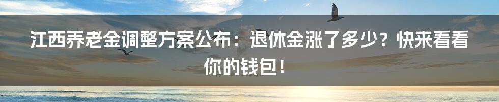 江西养老金调整方案公布:退休金涨了多少?快来看看你的钱包!