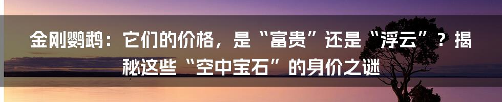 金刚鹦鹉:它们的价格,是“富贵”还是“浮云”?揭秘这些“空中宝石”的身价之谜