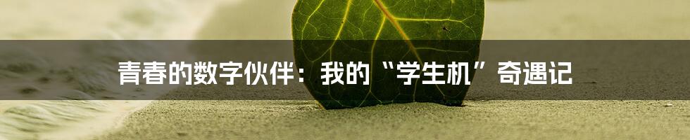 青春的数字伙伴：我的“学生机”奇遇记