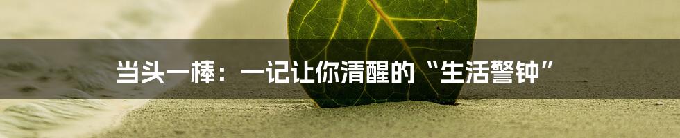 当头一棒：一记让你清醒的“生活警钟”
