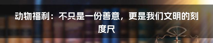 动物福利:不只是一份善意,更是我们文明的刻度尺
