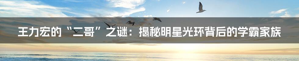 王力宏的“二哥”之谜：揭秘明星光环背后的学霸家族