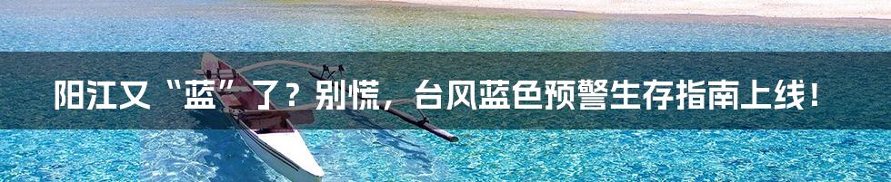 阳江又“蓝”了？别慌，台风蓝色预警生存指南上线！