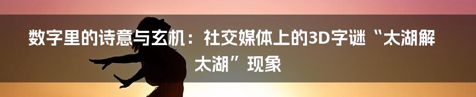数字里的诗意与玄机：社交媒体上的3D字谜“太湖解太湖”现象
