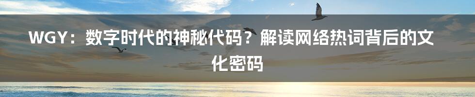 WGY：数字时代的神秘代码？解读网络热词背后的文化密码