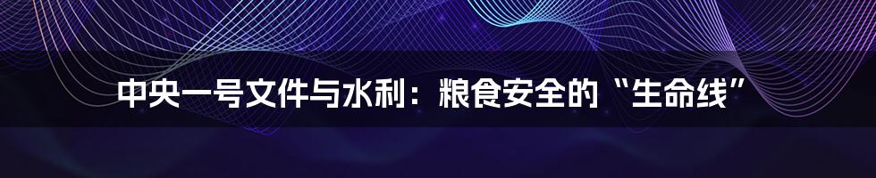 中央一号文件与水利：粮食安全的“生命线”