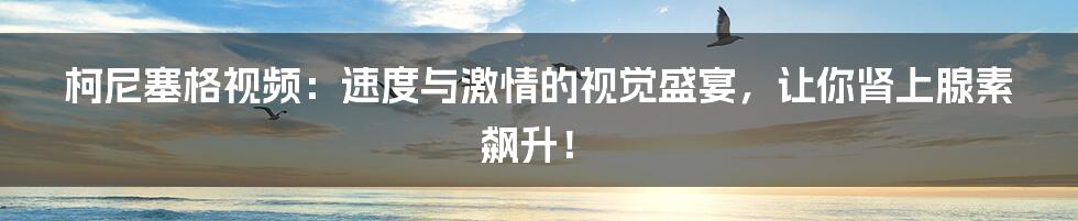 柯尼塞格视频:速度与激情的视觉盛宴,让你肾上腺素飙升!