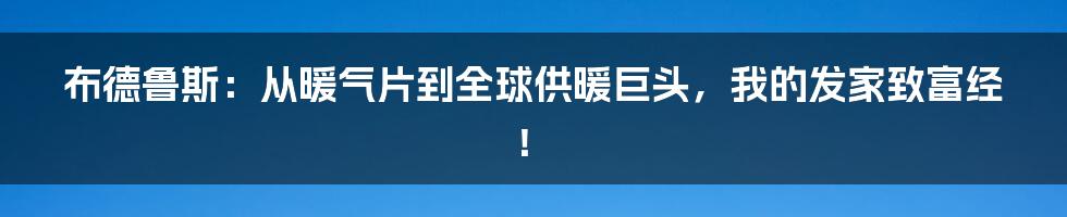 布德鲁斯：从暖气片到全球供暖巨头，我的发家致富经！