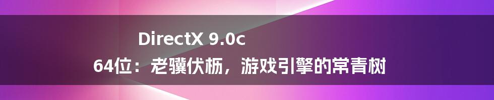 DirectX 9.0c 64位：老骥伏枥，游戏引擎的常青树