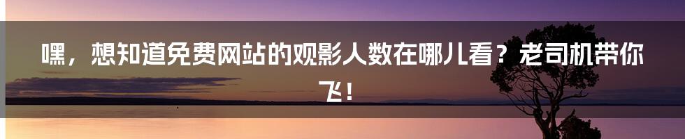 嘿，想知道免费网站的观影人数在哪儿看？老司机带你飞！