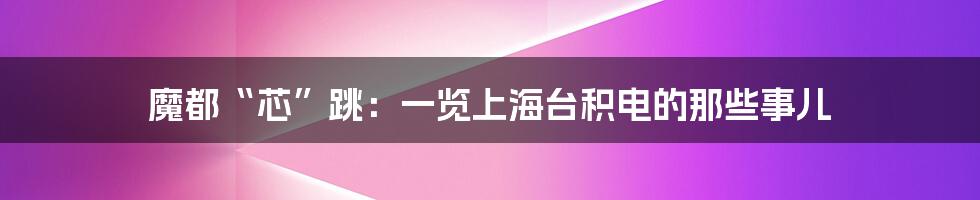 魔都“芯”跳：一览上海台积电的那些事儿