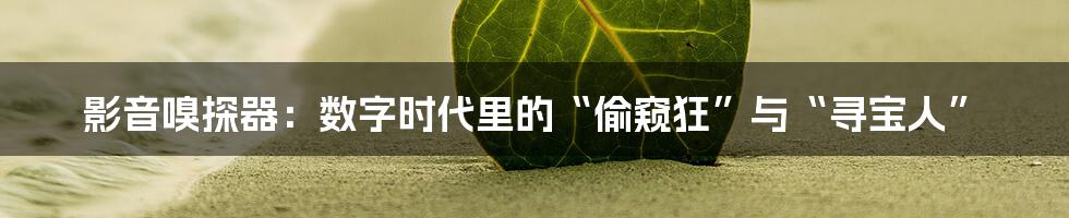 影音嗅探器：数字时代里的“偷窥狂”与“寻宝人”