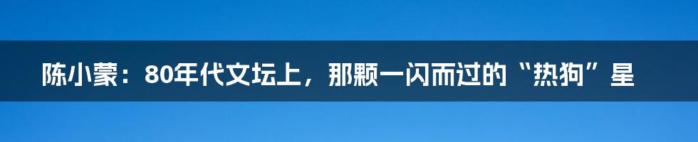 陈小蒙:80年代文坛上,那颗一闪而过的“热狗”星